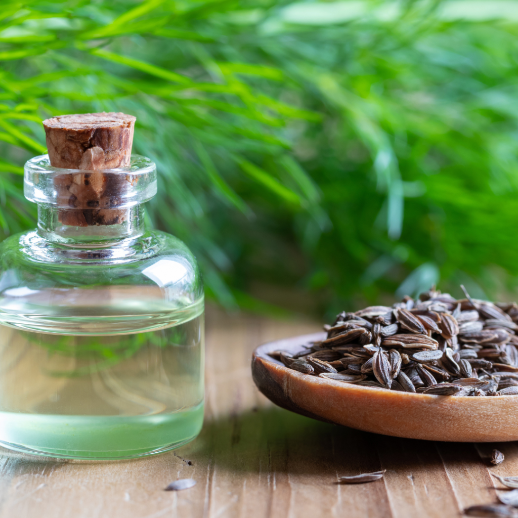 Dill seed oil