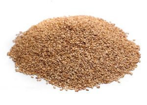 Sesame