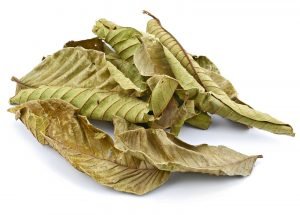 Guava leaves
