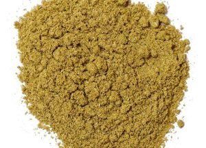 Coriander
