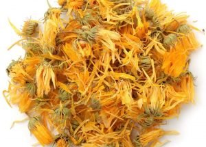 Calendula