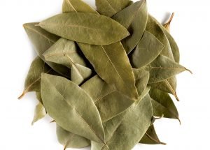 Bay Laurel