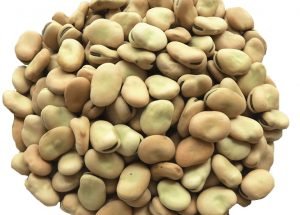 Fava Beans
